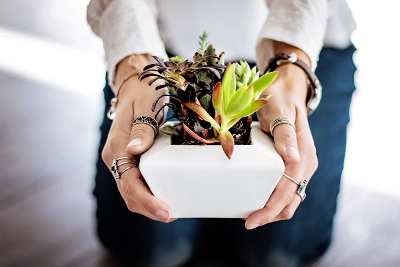 Flower Pots